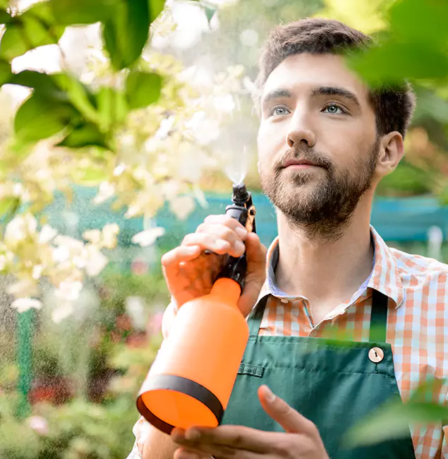 Why Parsippany Pest Control Pro Is the Best Mosquito Control Company in Parsippany, NJ?