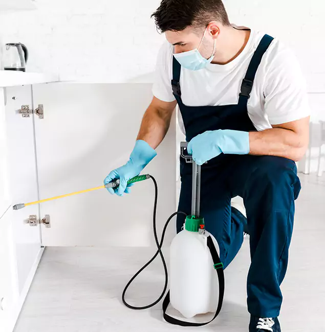 Why Choose Parsippany Pest Control Pro for Termite Spot Treatment in Parsippany, NJ?
