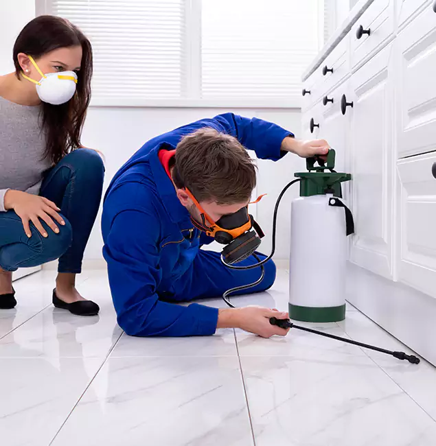 Why Choose Wood Termite Treatment by Parsippany Pest Control Pro in Parsippany, NJ?
