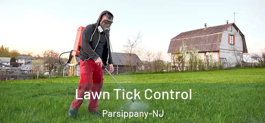 Lawn Tick Control Parsippany-NJ