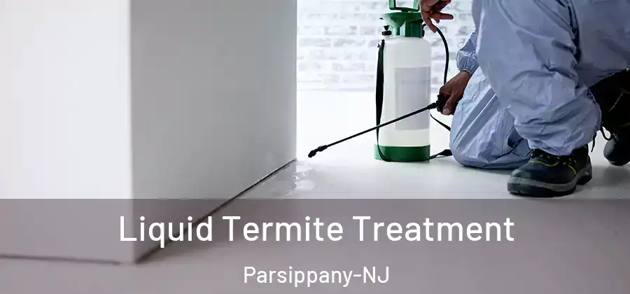  Liquid Termite Treatment Parsippany-NJ