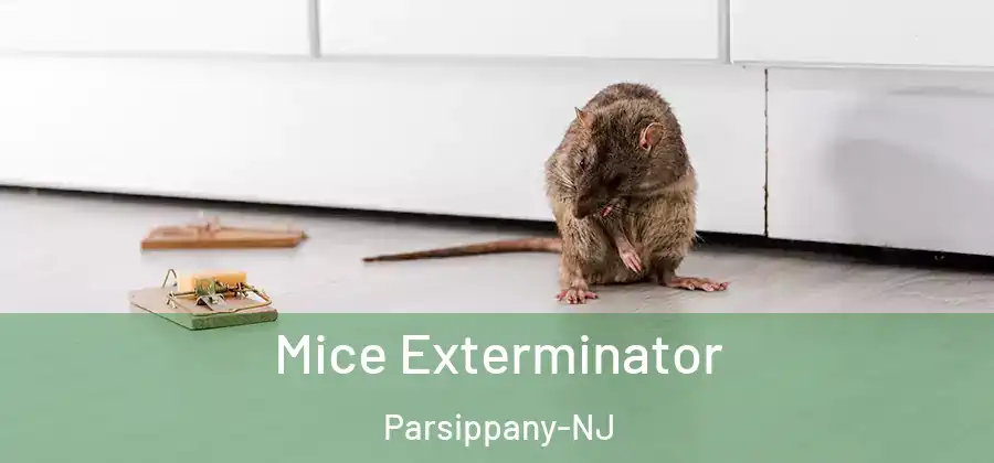 Mice Exterminator Parsippany-NJ