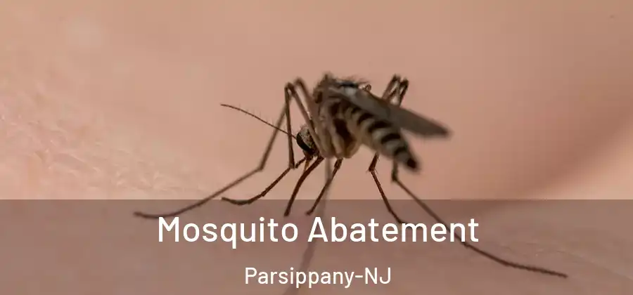  Mosquito Abatement Parsippany-NJ