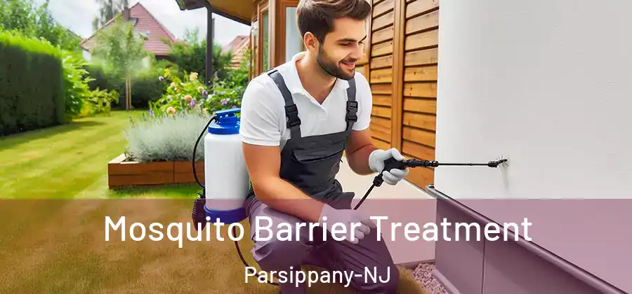 Mosquito Barrier Treatment Parsippany-NJ