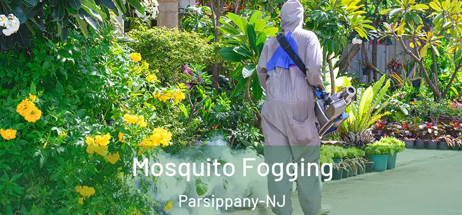  Mosquito Fogging Parsippany-NJ