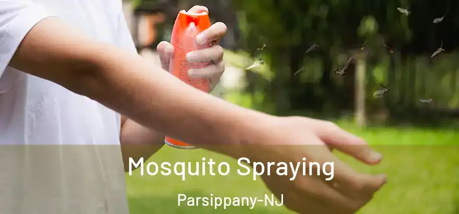Mosquito Spraying Parsippany-NJ