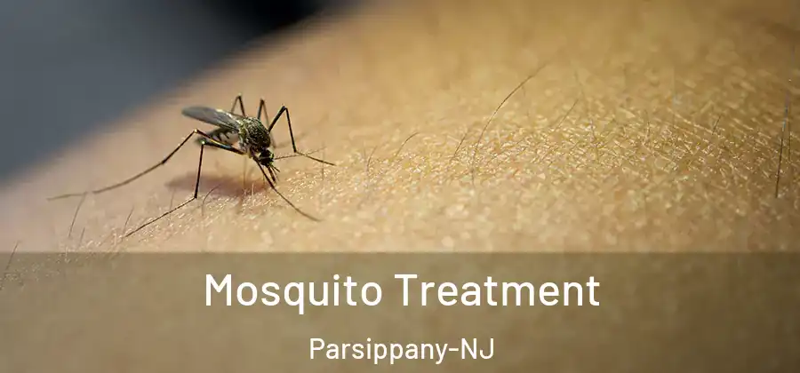  Mosquito Treatment Parsippany-NJ