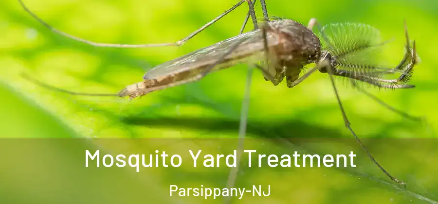 Mosquito Yard Treatment Parsippany-NJ
