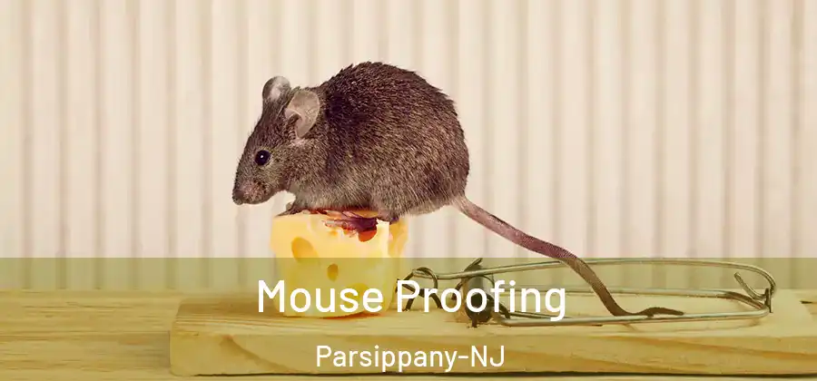 Mouse Proofing Parsippany-NJ