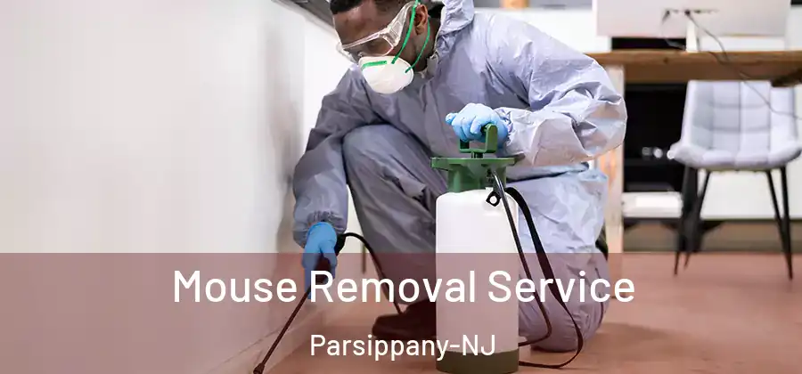 Mouse Removal Service Parsippany-NJ