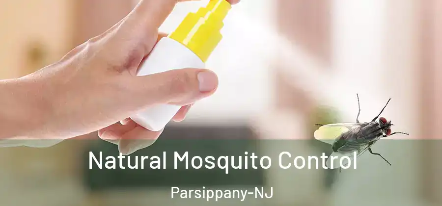 Natural Mosquito Control Parsippany-NJ