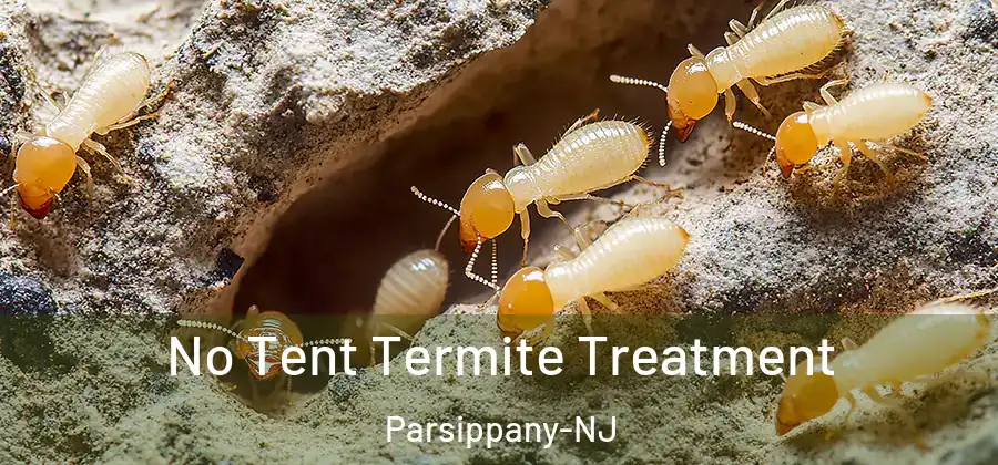No Tent Termite Treatment Parsippany-NJ
