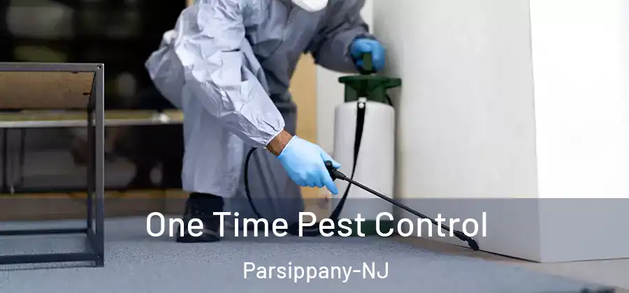  One Time Pest Control Parsippany-NJ