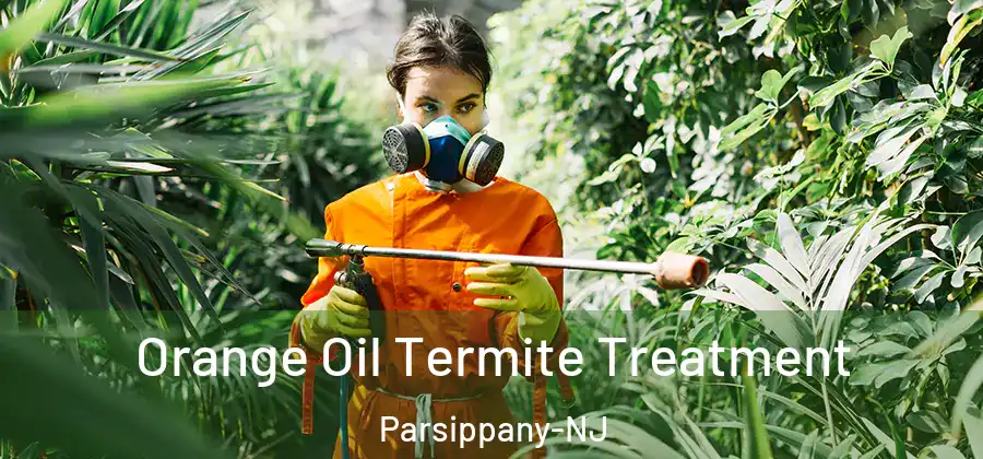  Orange Oil Termite Treatment Parsippany-NJ