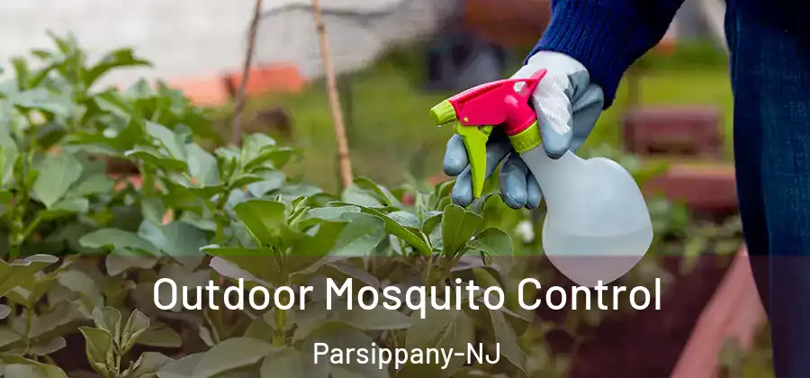  Outdoor Mosquito Control Parsippany-NJ