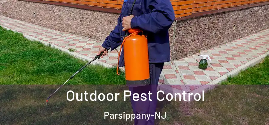 Outdoor Pest Control Parsippany-NJ