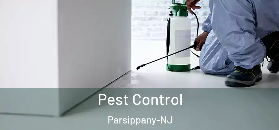 Pest Control Parsippany-NJ