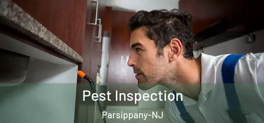 Pest Inspection Parsippany-NJ