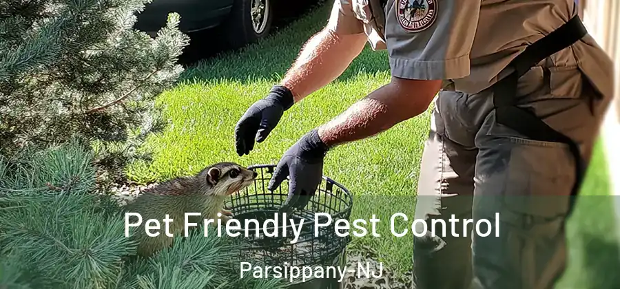 Pet Friendly Pest Control Parsippany-NJ