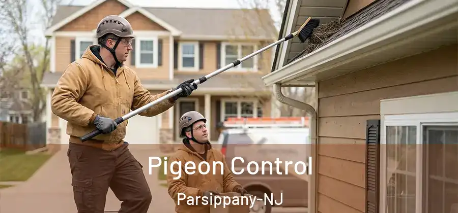 Pigeon Control Parsippany-NJ
