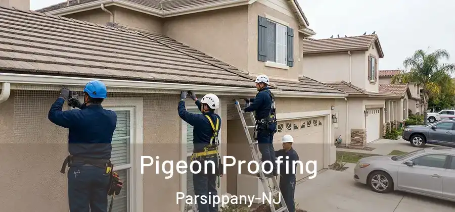 Pigeon Proofing Parsippany-NJ