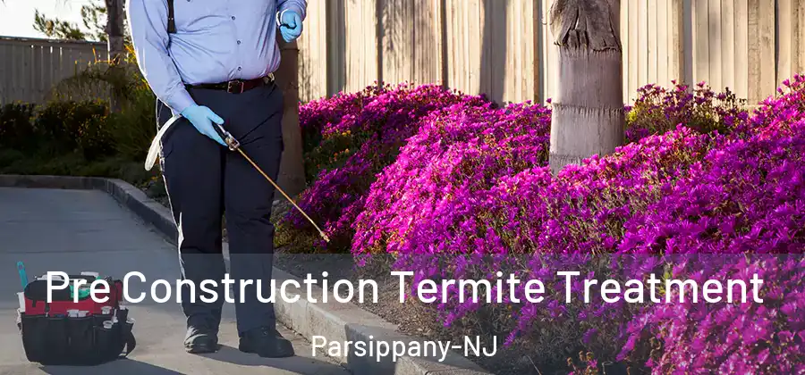  Pre Construction Termite Treatment Parsippany-NJ