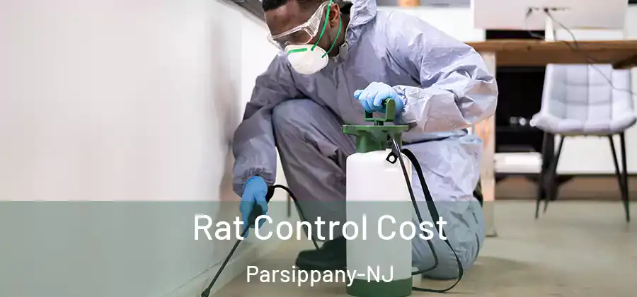 Rat Control Cost Parsippany-NJ