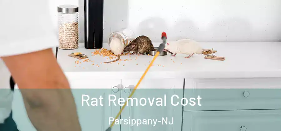 Rat Removal Cost Parsippany-NJ