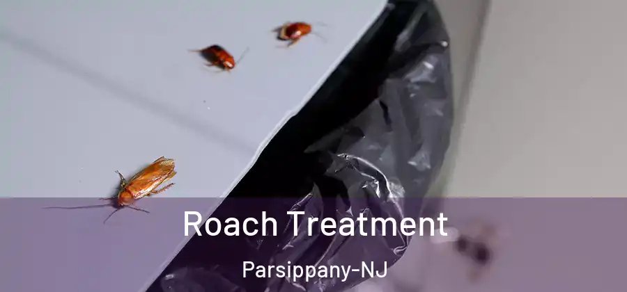 Roach Treatment Parsippany-NJ