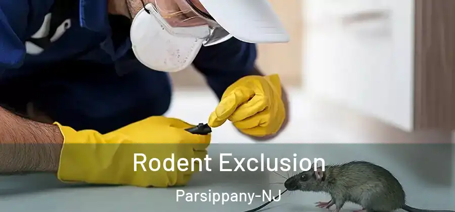 Rodent Exclusion Parsippany-NJ