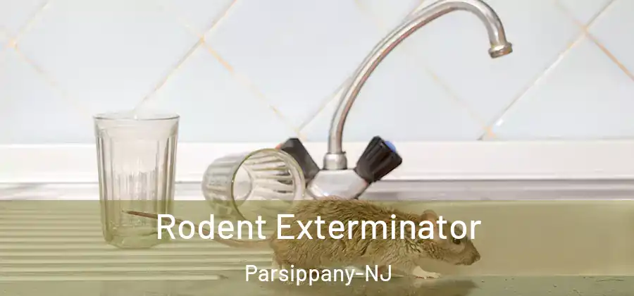 Rodent Exterminator Parsippany-NJ