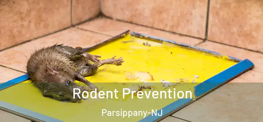 Rodent Prevention Parsippany-NJ