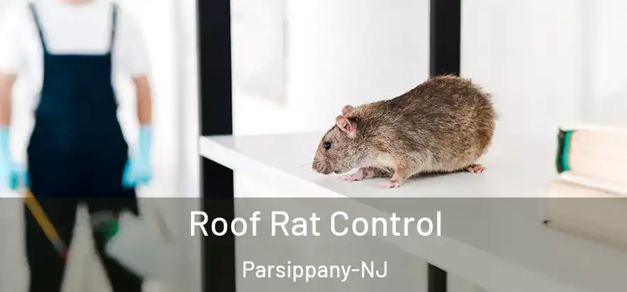  Roof Rat Control Parsippany-NJ