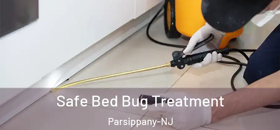Safe Bed Bug Treatment Parsippany-NJ