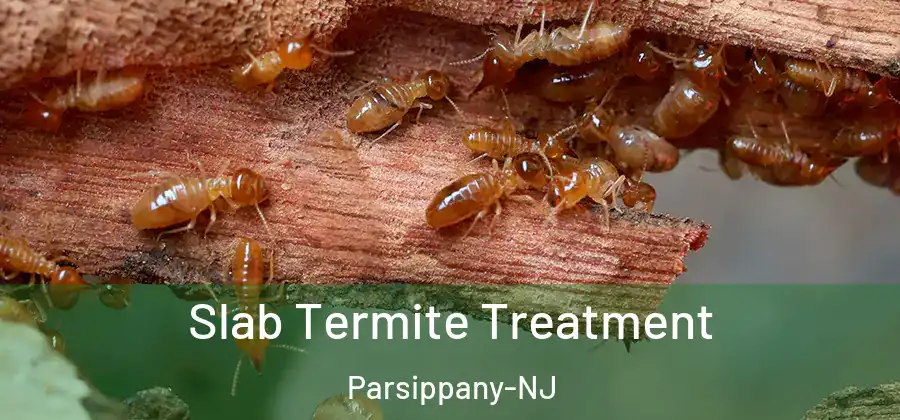 Slab Termite Treatment Parsippany-NJ