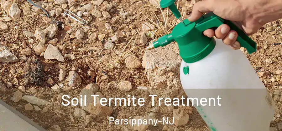  Soil Termite Treatment Parsippany-NJ