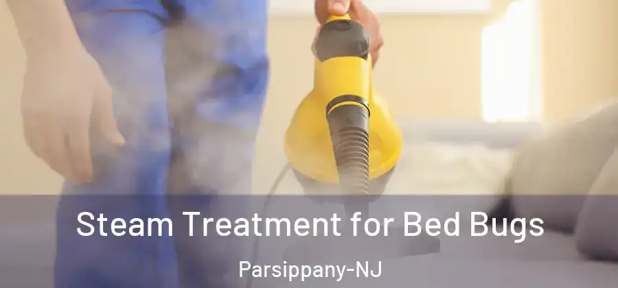 Steam Treatment for Bed Bugs Parsippany-NJ