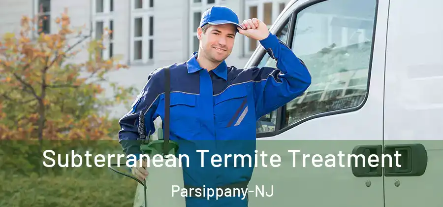 Subterranean Termite Treatment Parsippany-NJ