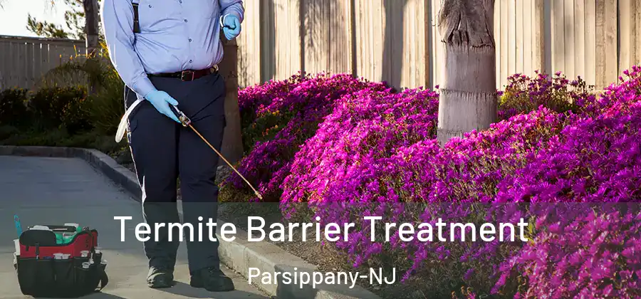 Termite Barrier Treatment Parsippany-NJ