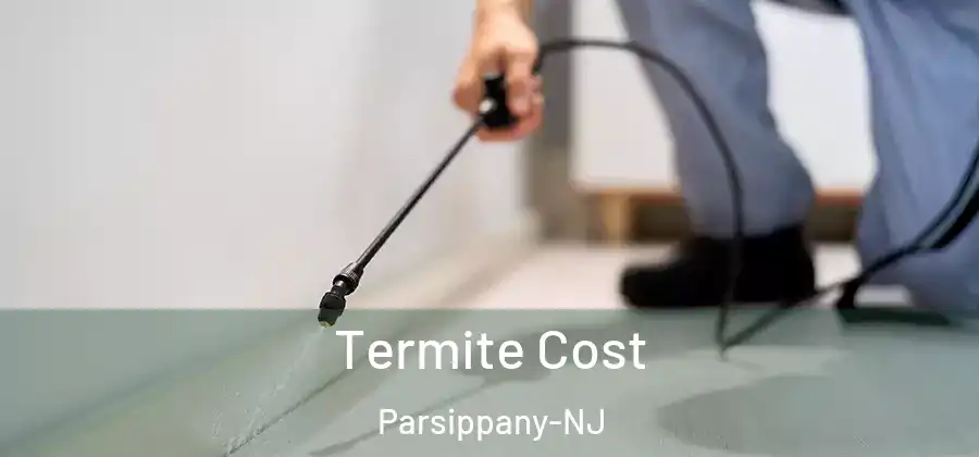 Termite Cost Parsippany-NJ