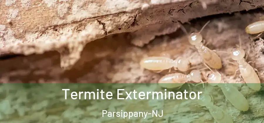 Termite Exterminator Parsippany-NJ