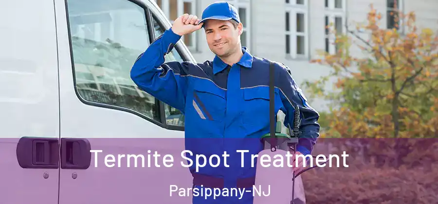 Termite Spot Treatment Parsippany-NJ
