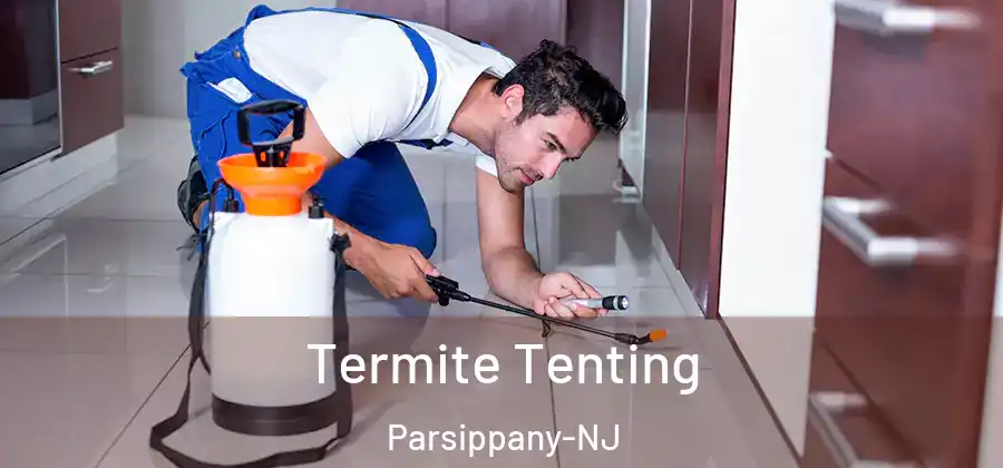 Termite Tenting Parsippany-NJ