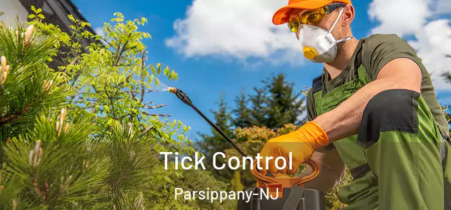 Tick Control Parsippany-NJ