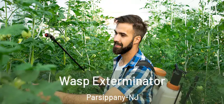 Wasp Exterminator Parsippany-NJ