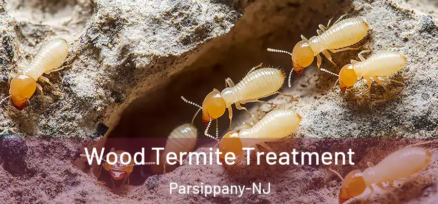 Wood Termite Treatment Parsippany-NJ