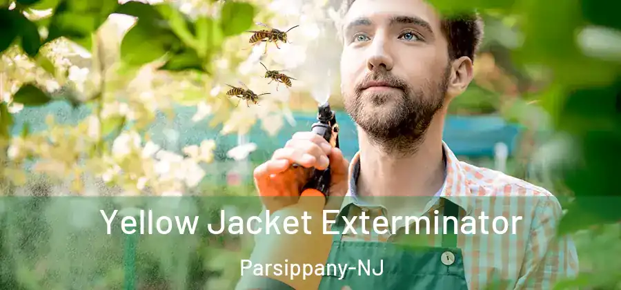 Yellow Jacket Exterminator Parsippany-NJ