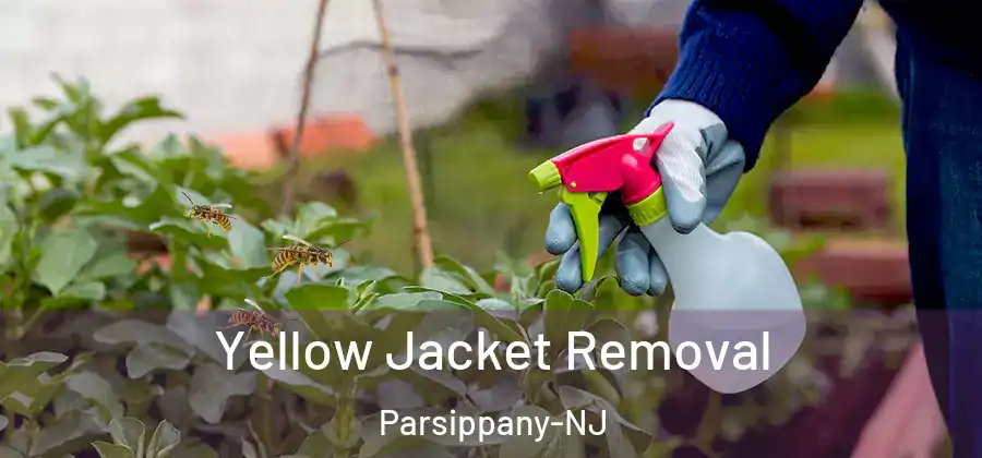 Yellow Jacket Removal Parsippany-NJ